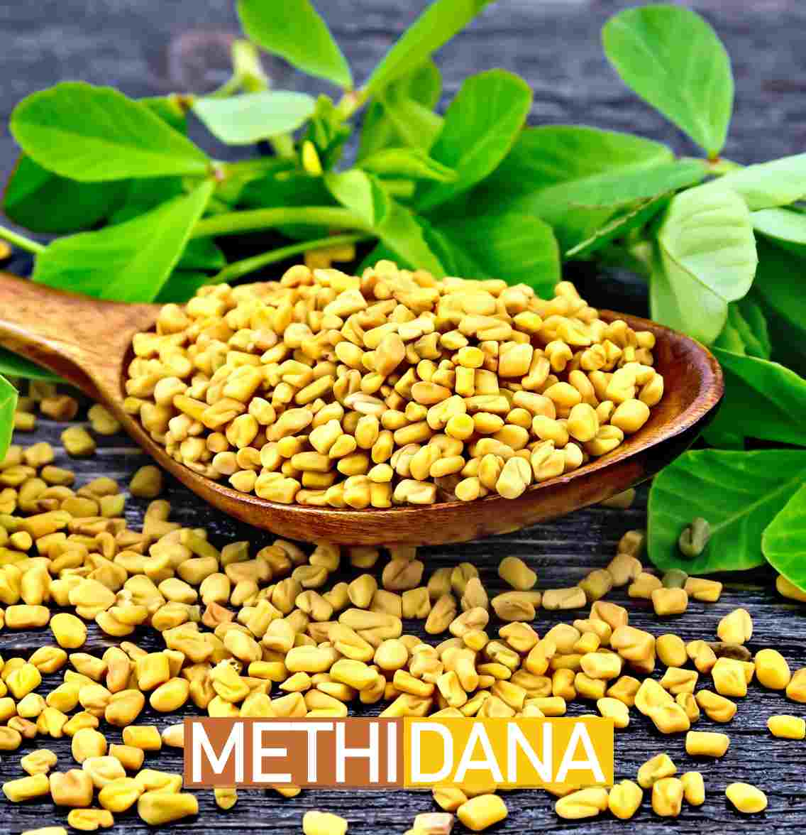 Methi Dana A healthy addition to your diet